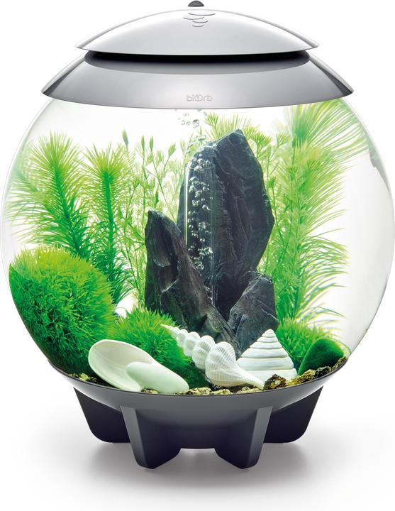 Immagine prodotto Oase Set di decorazioni per l'acquario biOrb 30 (Decorazione, altre voci)