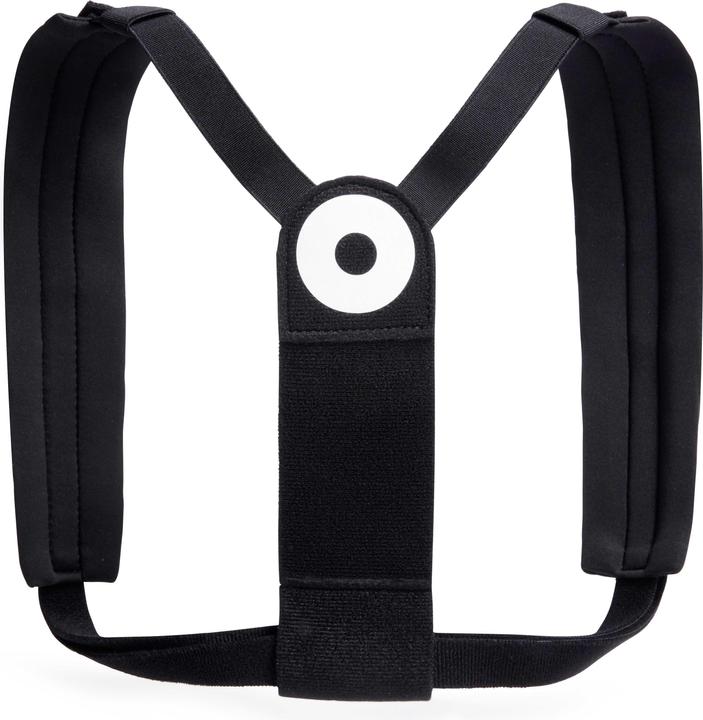 Blackroll Posture S/M/L