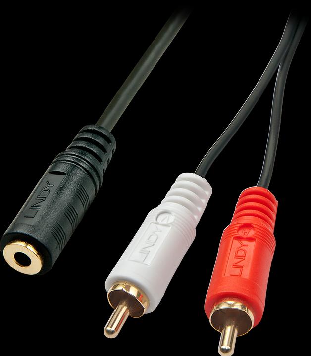 Lindy Audio-Adapterkabel mit 2x RCA an 3,5mm Klinkenstecker (0.25 m, 3.5mm Klinke (AUX), Cinch)