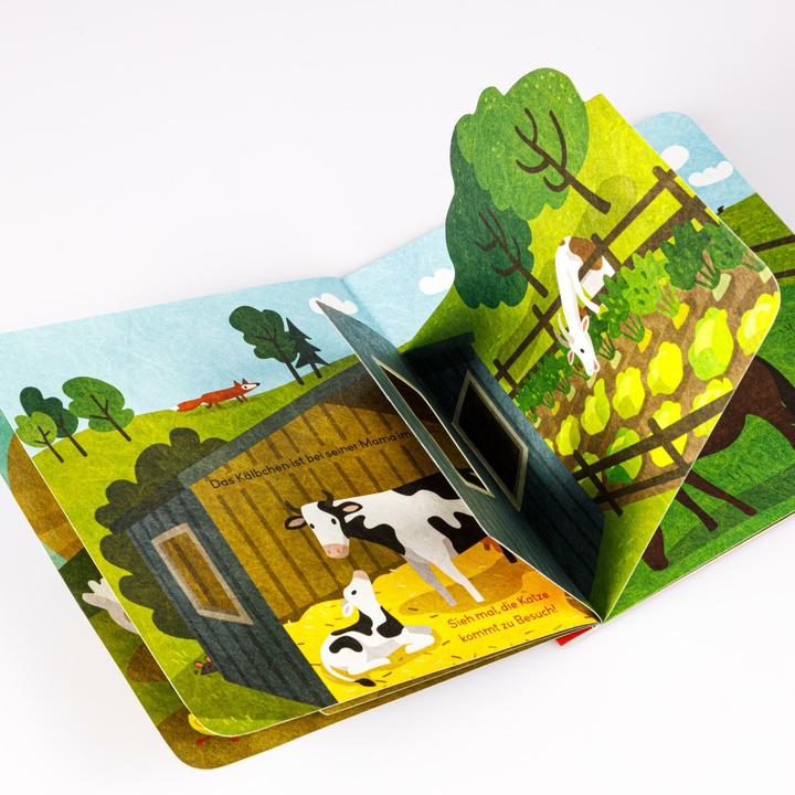 Image du produit Baby Pixi (incassable) 141 : Flippediflapp : Les animaux de la ferme (Allemand)