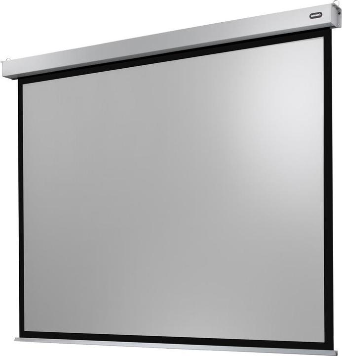 Celexon Motor Professional Plus (148", 4:3)