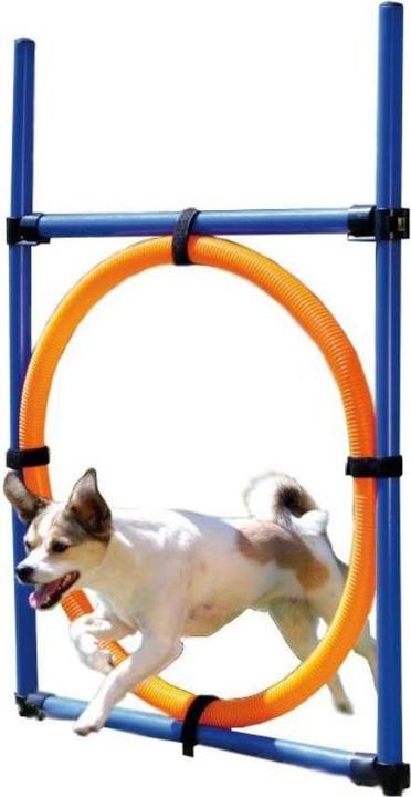Image du produit Trixie Anneau d'agilité pour l'activité des chiens (Agility)