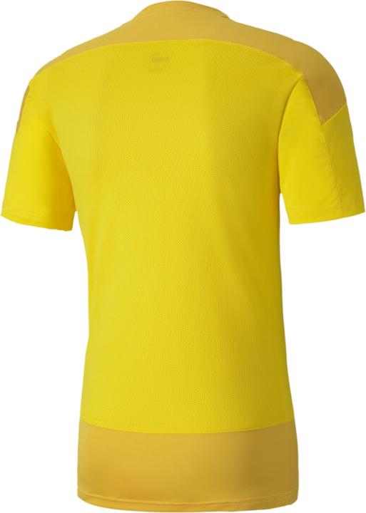 Actual product image Puma teamGOAL 23 Training Jersey-656482 (M)