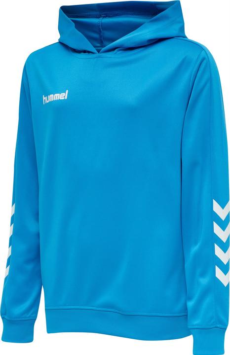 Image du produit hummel Promo Kids Poly Hoodie (164)