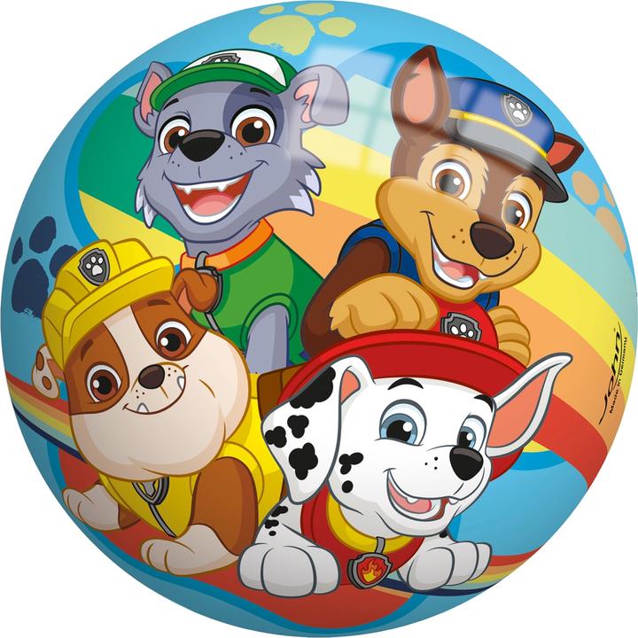 Actual product image John Paw Patrol
