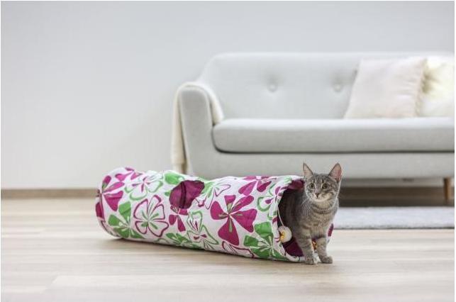 Image du produit Kerbl Fleur (Tunnels pour chat)