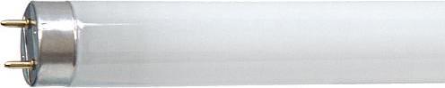 Immagine prodotto Philips MASTER TL-D Super 80 (G13, 18 W, 1350 lm, 1 x, G)