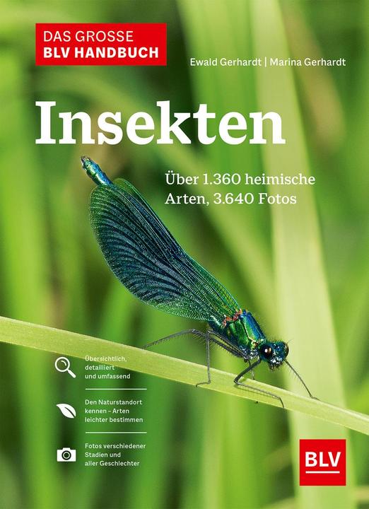 Produktbild Das grosse Handbuch Insekten (Deutsch, Ewald Gerhardt, 2021)