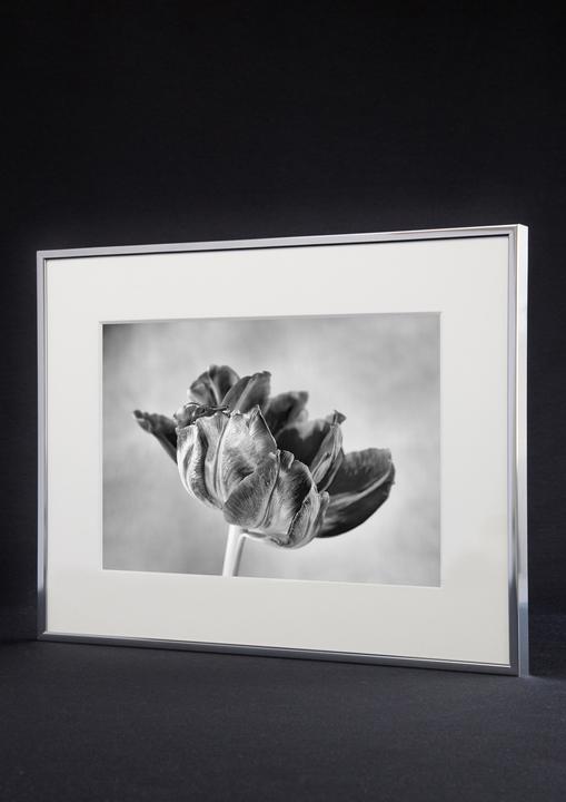 Immagine prodotto Nielsen Accento (30 x 40 cm)
