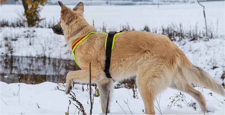 Produktbild Niggeloh Führgeschirr Follow Sport Plus XL (M, L, XL, Hund, Hundesport)