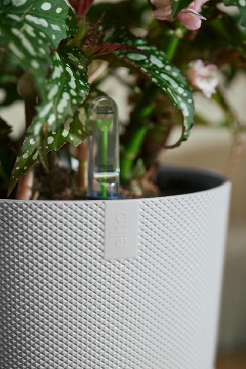Actual product image Elho Jazz Rund (26 cm)