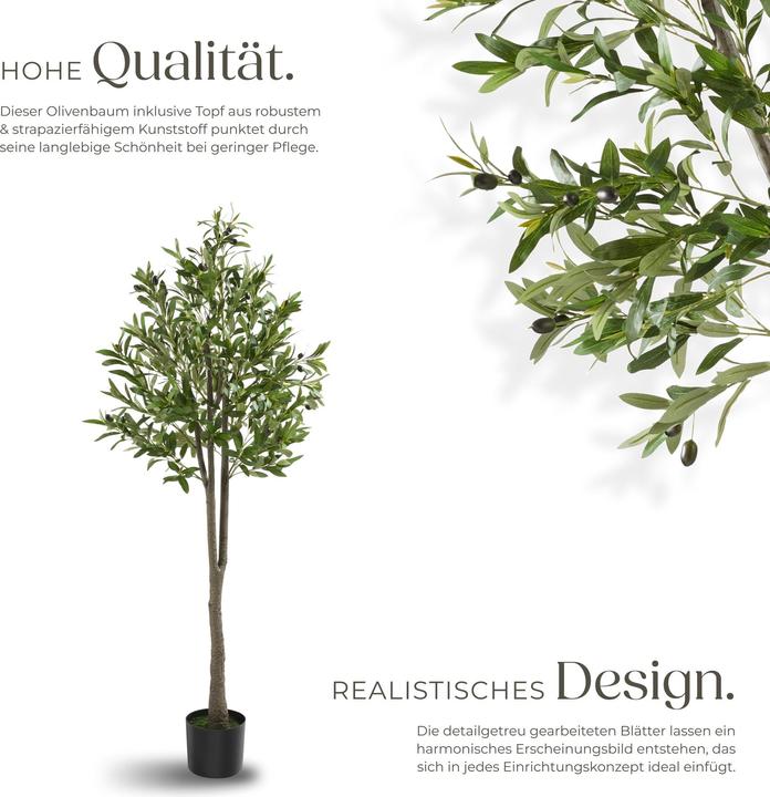 Image du produit tectake Olivenbaum Oleand (150 cm)