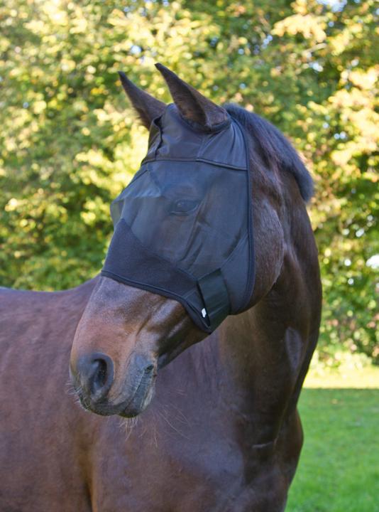 Actual product image Kerbl Fly mask pony with ear cut-out without nose ruffle.