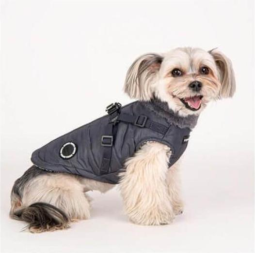 Actual product image Puppia Donavan (S, Dog coat)