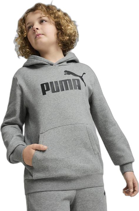 Actual product image Puma ESS No. 1 Logo Hoodie FL B (176)