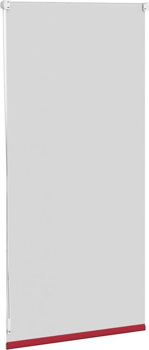 Immagine prodotto VidaXL Rollo (40 x 100 cm)