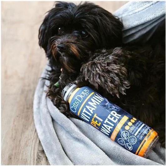 Actual product image Cats Dogs Vitamin Pet Water (500ml) (Senior, 6 pcs., 3000 g)