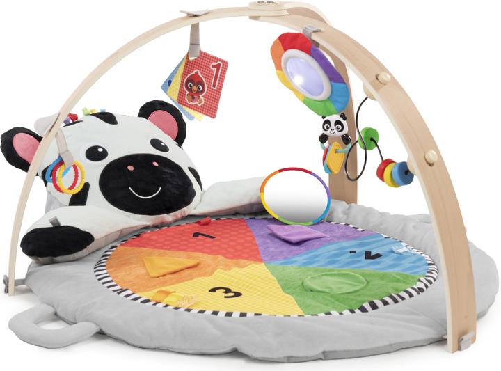 Produktbild Baby Einstein Spielmatte, Zen's Activity Milestones™