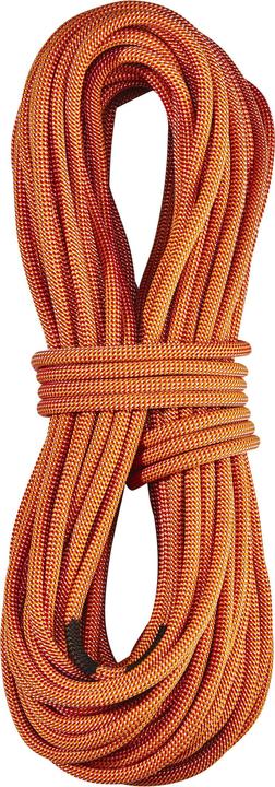 Produktbild Edelrid Heron Pro Dry Rope 9,8mm 50m (50 m)