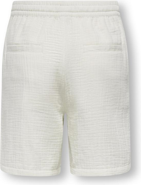 Only & Sons OSJTEL-PAS Normal geschnitten Shorts Shorts