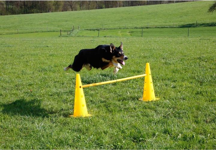 Produktbild Kerbl Agility Pylonen-Hürden Set (One Size, Agility)