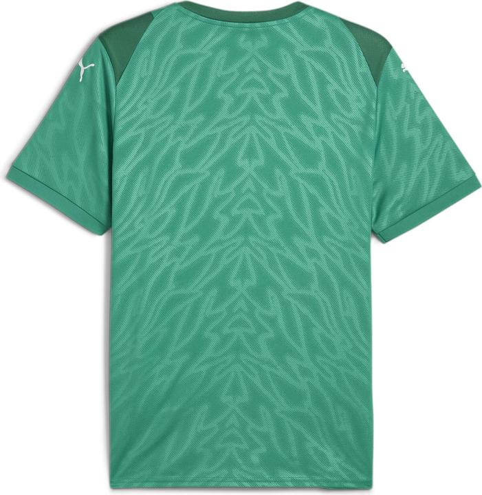 Actual product image Puma teamCUP Jersey (M)