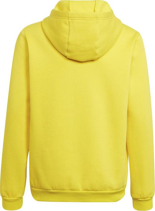 Actual product image adidas Entrada 22 hoodie kids (164)