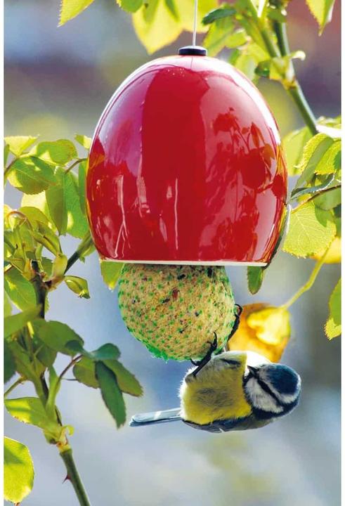 Immagine prodotto Luxus-Vogelhaus Gnocco