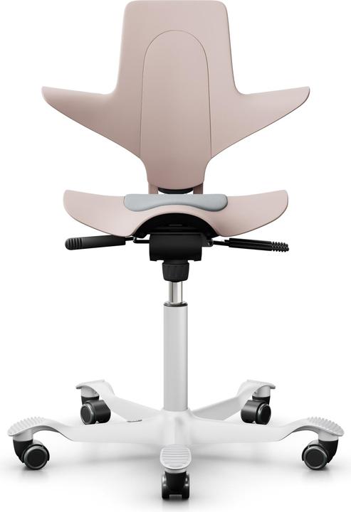 HAG Capisco Pulse 8010