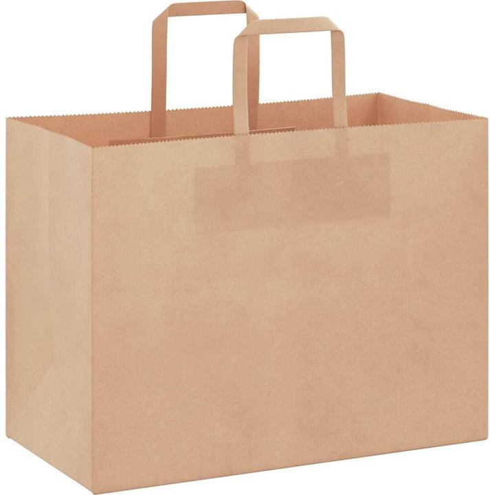 Immagine prodotto VidaXL Sacchetti di carta kraft 50 pezzi con maniglia marrone 32x17x25 cm (Borsa da regalo, 50 x)