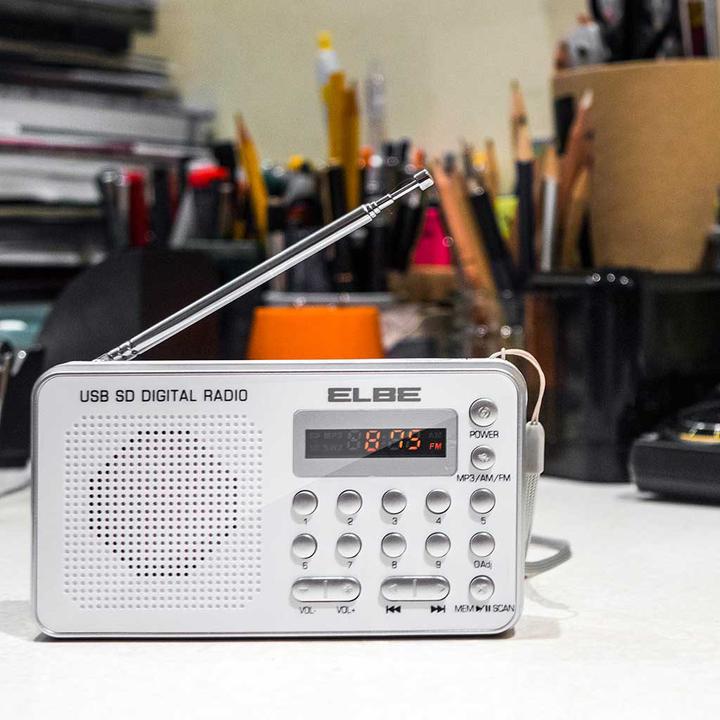 Actual product image Elbe RF-49-USB (AM, FM)