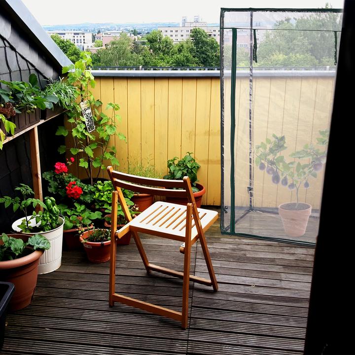 Produktbild Relaxdays Tomatengewächshaus