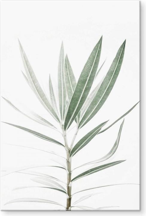 Actual product image Trenddeko oleander (70 x 100 cm)