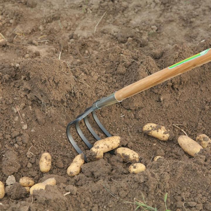 Actual product image Freund Victoria Hoe