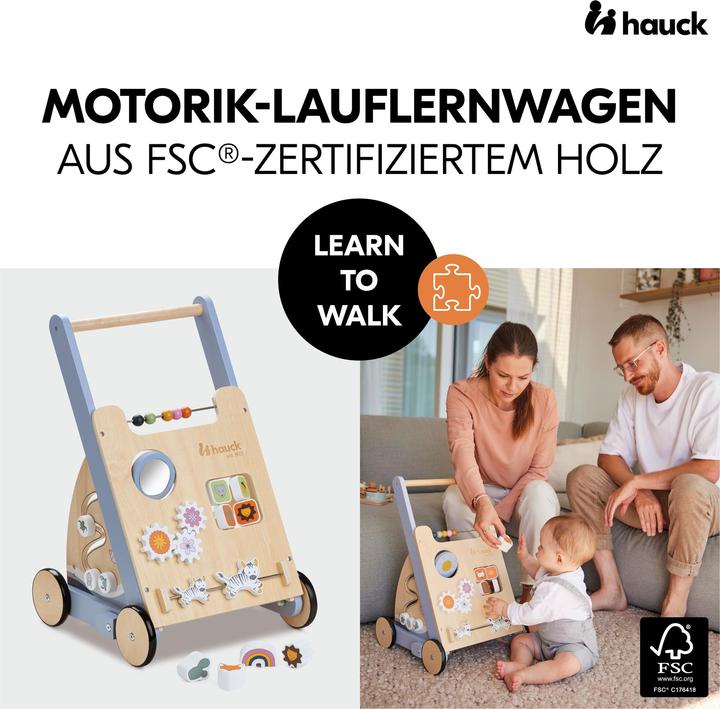 Actual product image Hauck Learn to Walk Skills