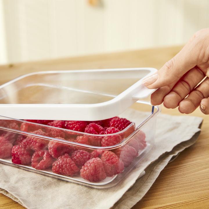 Actual product image Rotho Cauma fridge organiser