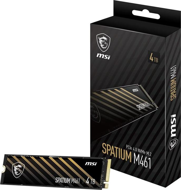 Actual product image MSI Spatium M461 (4000 GB, M.2 2280)