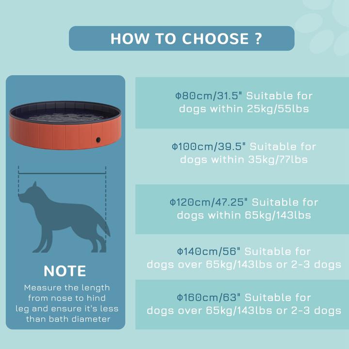 Etichetta energetica PawHut Bagno per cani (Piscina per cani)