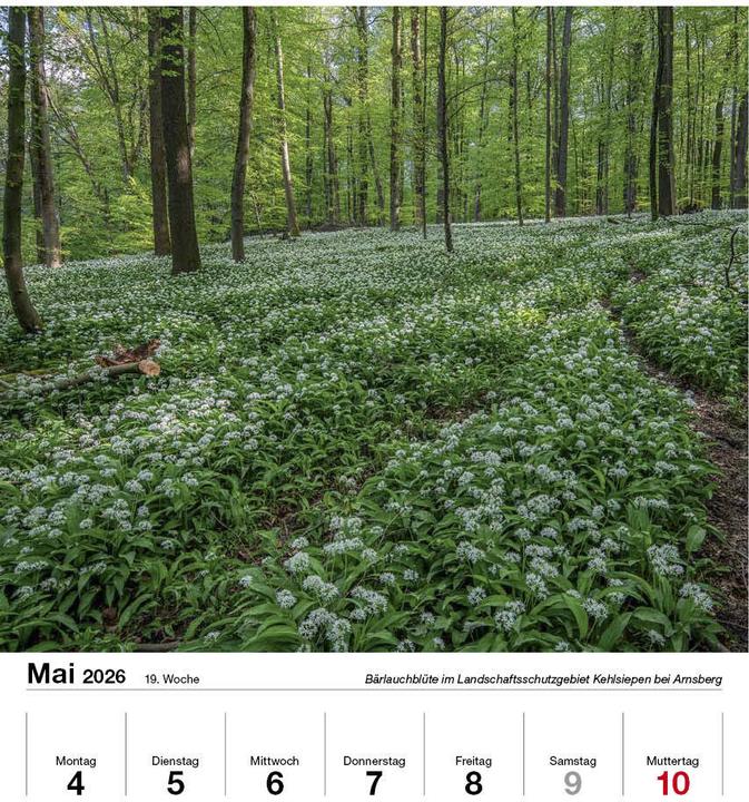 Produktbild Schönes Sauerland 2026 (Harter Einband, Deutsch)