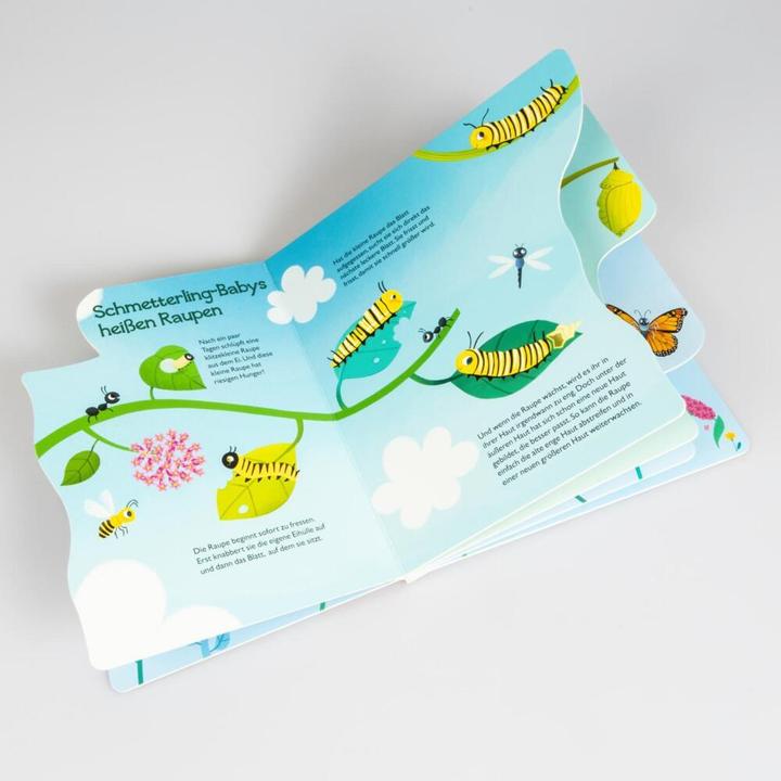 Produktbild Von der kleinen Raupe zum Schmetterling (Deutsch)