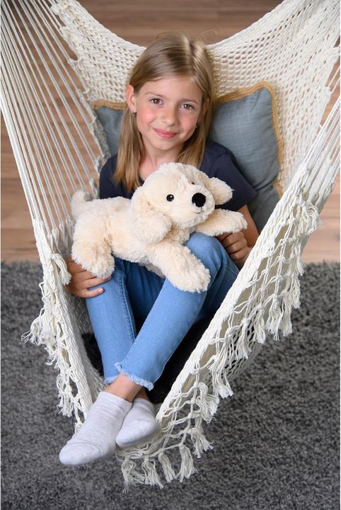Image du produit Warmies Golden Retriever (33 cm)