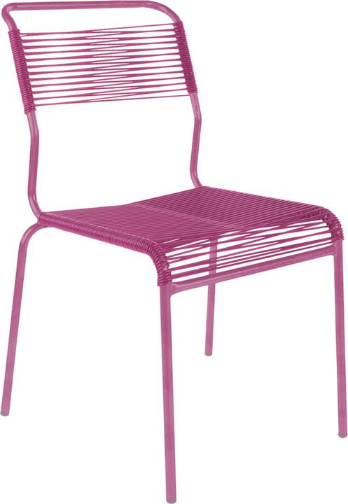 Rosa 41