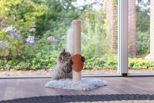 Immagine prodotto Beeztees Pflegehandschuh (Gatto)
