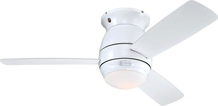 White, Maple