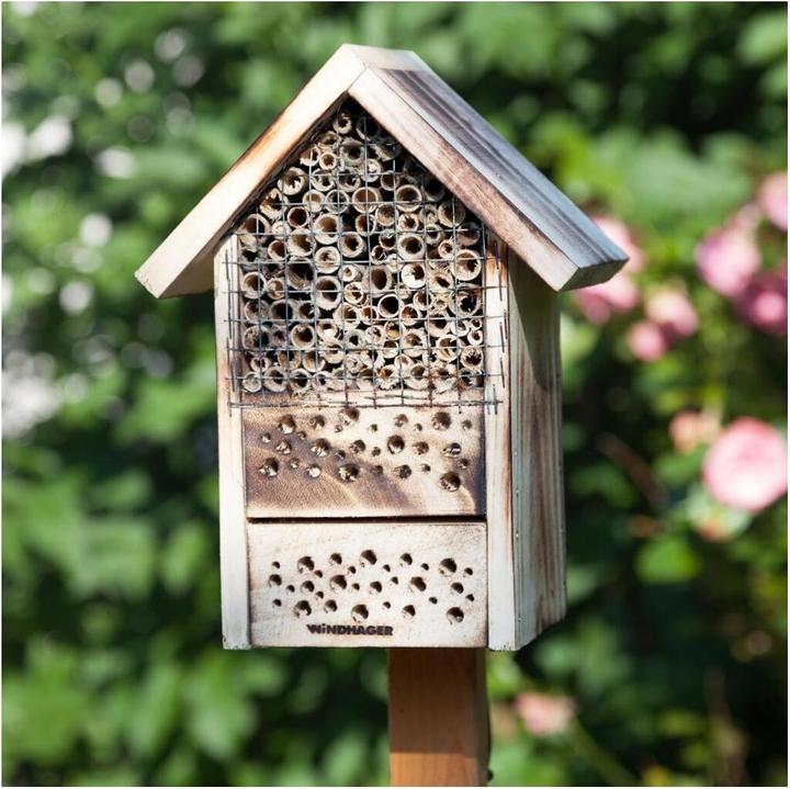 Actual product image Windhager To the post office (Wild bees)