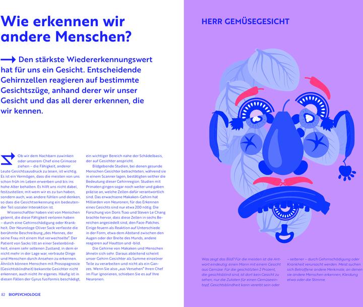 Actual product image Librero Psychologie (German, Jeniffer Dr Wild, 2024)