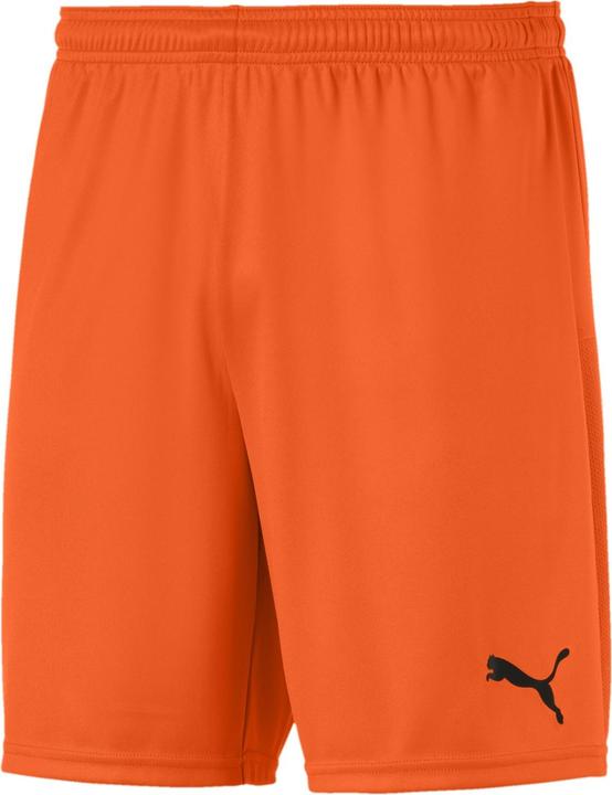 Produktbild Puma teamGOAL 23 knit Shorts-704262 (S)