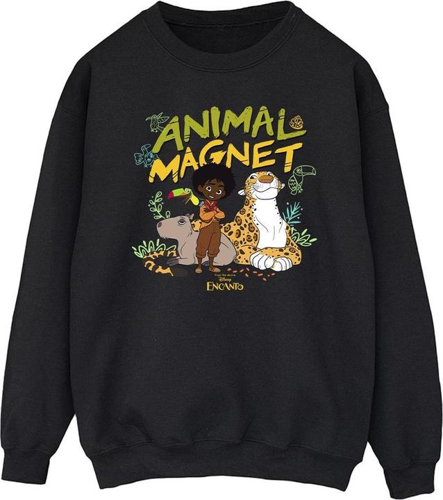 Disney Encanto Animal Magnet Sweatshirt (XXL)