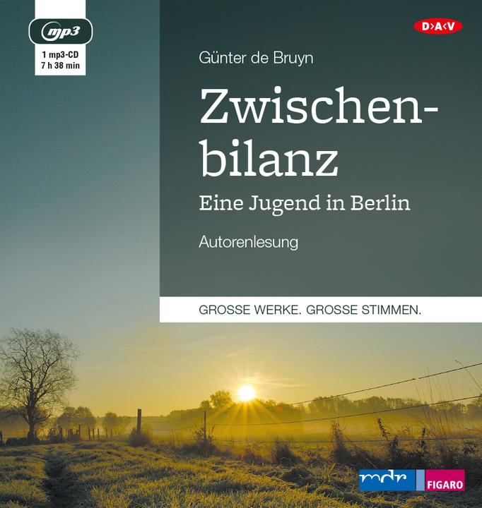 Actual product image Interim balance sheet (Guenter de Bruyn, German)