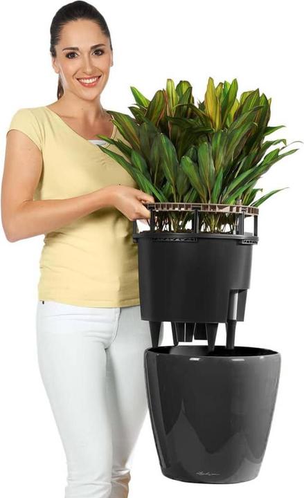 Image du produit Lechuza Classico (36 cm)